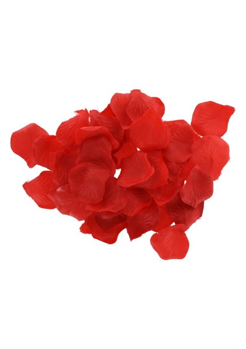 Zestaw-LOVETOY STARTER KIT Zestaw-LOVETOY STARTER KIT