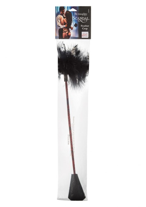 Pejcz-SCANDAL FEATHER CROP Pejcz-SCANDAL FEATHER CROP