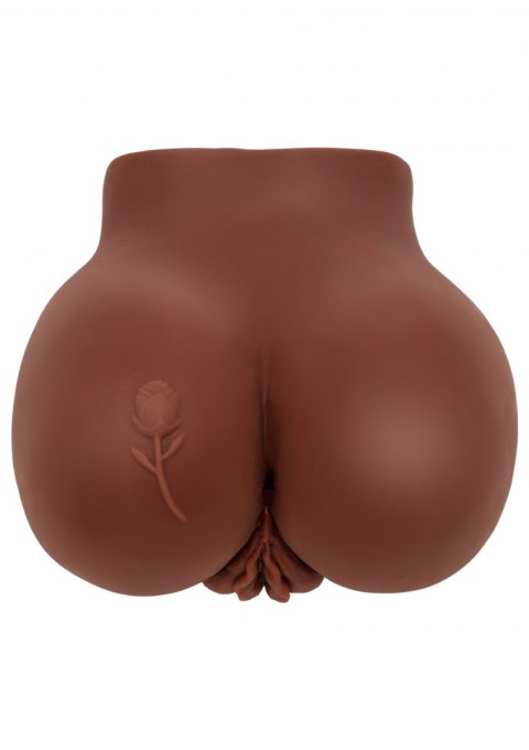 Big Ass Banger Vibr. Big Ass Banger Vibr.