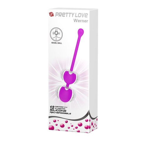 PRETTY LOVE - WERNER USB 12 function PRETTY LOVE - WERNER USB 12 function