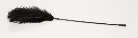 Black feather Bad Kitty Black feather Bad Kitty