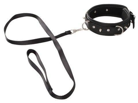 Collar vegan Collar vegan