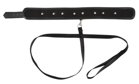 Collar vegan Collar vegan