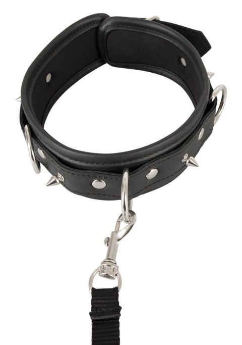 Collar vegan Collar vegan