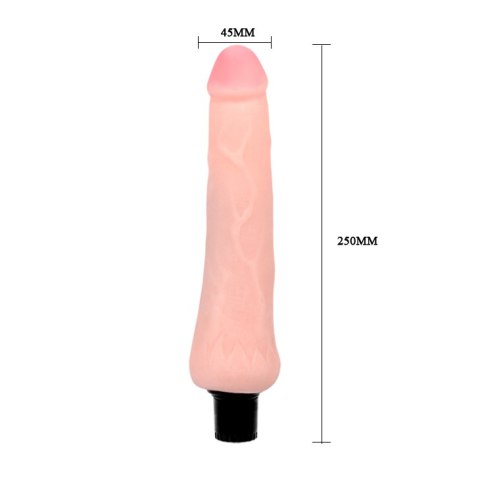 BAILE - The Realistic Coock Vibrating BAILE - The Realistic Coock Vibrating