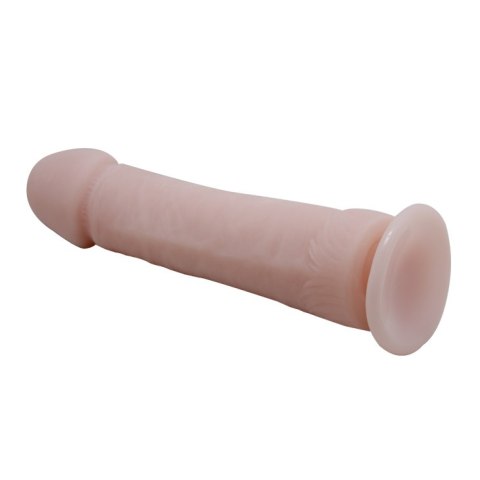 BAILE - The Big Penis BAILE - The Big Penis