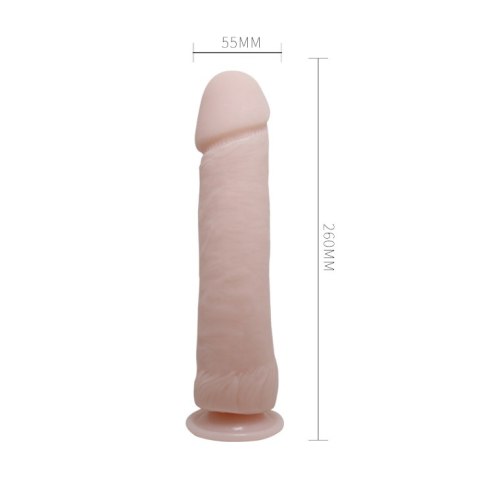 BAILE - The Big Penis BAILE - The Big Penis