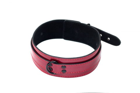 The Collar Party Hard Eccentric The Collar Party Hard Eccentric