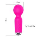 Stymulator-Rechargeable Mini Masager USB 20 Functions - Pink