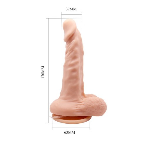BAILE- BARBARA Max 6,7'' BAILE- BARBARA Max 6,7''