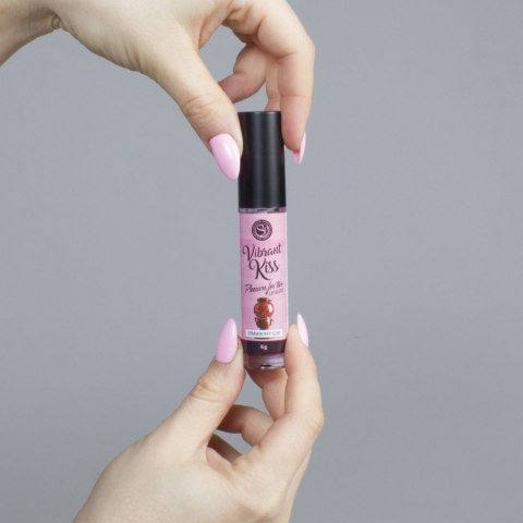 LIP GLOSS VIBRANT KISS STRAWBERRY GUM LIP GLOSS VIBRANT KISS STRAWBERRY GUM