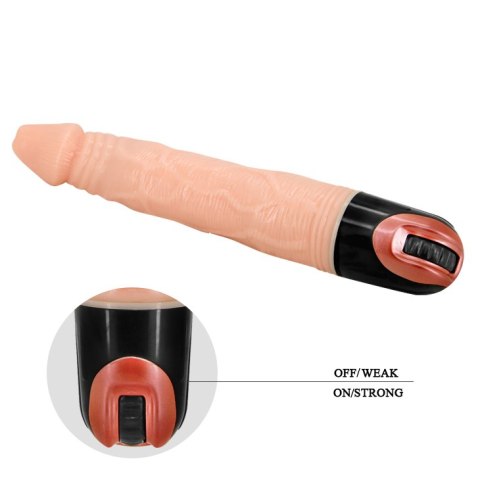 BAILE - Vibrator MULTI- SPEED BAILE - Vibrator MULTI- SPEED