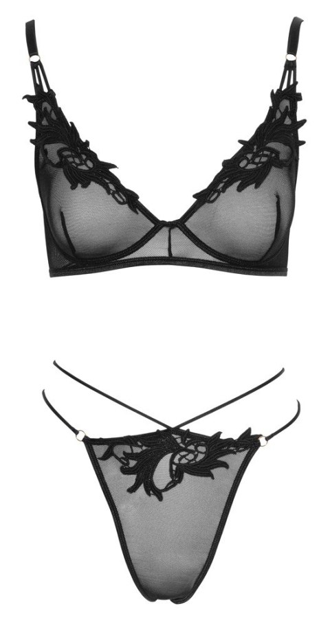 Bra and Rio XL Bra and Rio XL