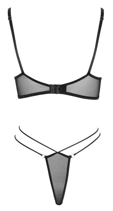 Bra and Rio XL Bra and Rio XL