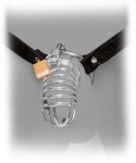 FFE Extreme Chastity Belt