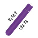 X-Basic Bullet 10 Speeds Purple