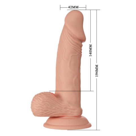 BAILE-Beautiful Zebulon 7.6"" BAILE-Beautiful Zebulon 7.6""