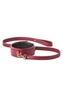 BLAZE ELITE COLLAR AND LEASH RED