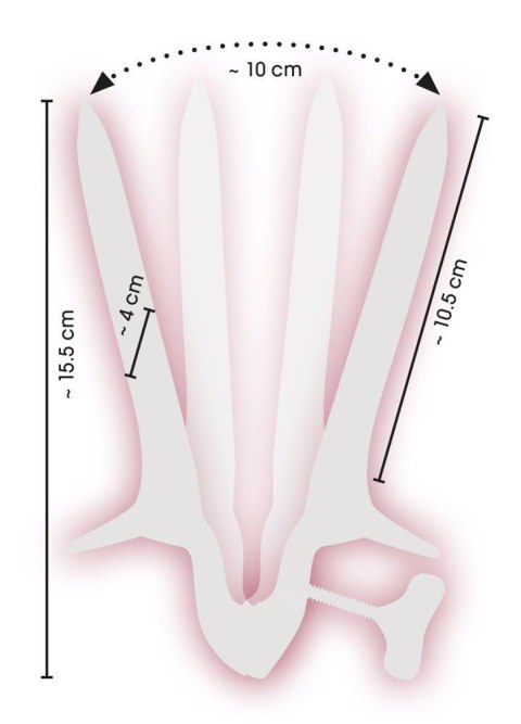 BDSM-5202250000 SX Vaginalspekulum-Wziernik BDSM-5202250000 SX Vaginalspekulum-Wziernik