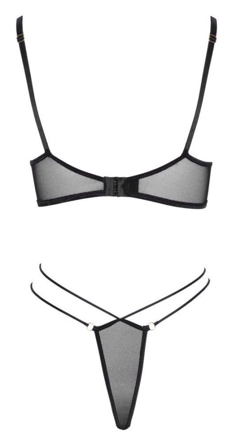 Bra and Rio XL Bra and Rio XL