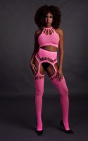 Two Piece with Crop Top and Stockings - Pink - XS/XL