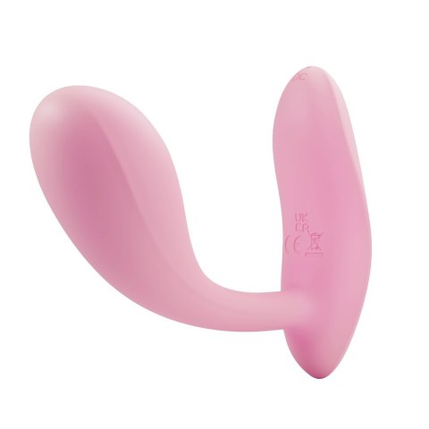 PRETTY LOVE BAIRD 05-1361 PRETTY LOVE BAIRD 05-1361