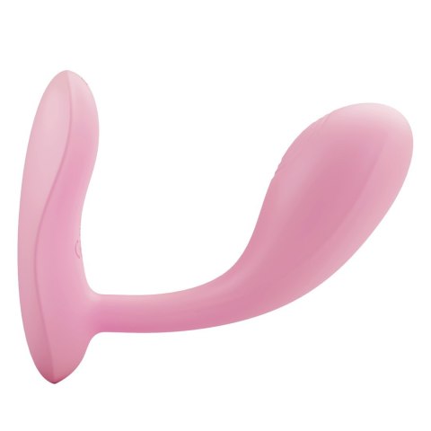PRETTY LOVE BAIRD 05-1361 PRETTY LOVE BAIRD 05-1361