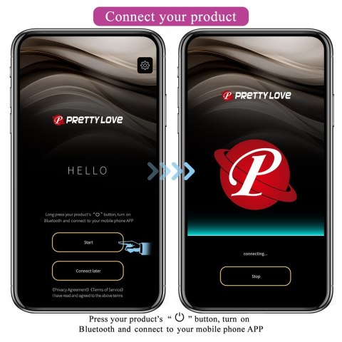 PRETTY LOVE BAIRD 05-1361 PRETTY LOVE BAIRD 05-1361