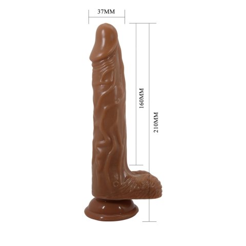 BAILE - Bodach 7,8'', 7 vibration functions 7 rotation functions Thrusting Wireless remote control Suction base BAILE - Bodach 7,8'', 7 vibration functions 7 rotation functions Thrusting Wireless remote control Suction base