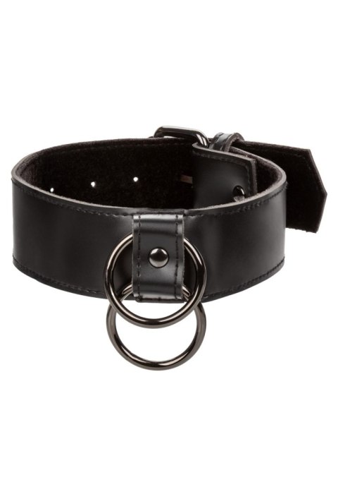 Collar With Chain Leash Black Collar With Chain Leash Black