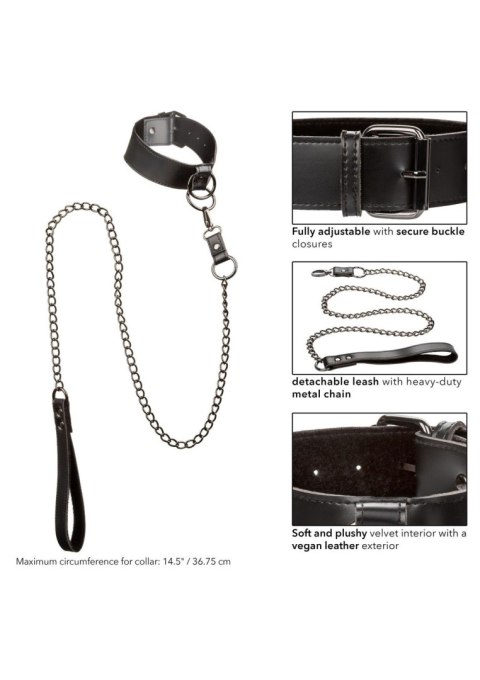 Collar With Chain Leash Black Collar With Chain Leash Black