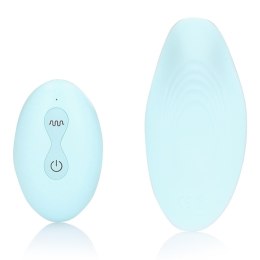 Panty Vibrator with Remote Control