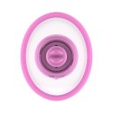 Teazers Suction Cup with Clitoris Vibrator