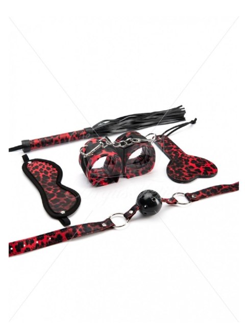 5 Pieces Leopard Bondage Set