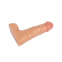 Beginner 6.7 Inch Dildo NO.02