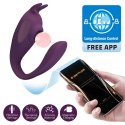 SHEY, 10 vibration functions 10 tapping functions Mobile APP Long-distance Control