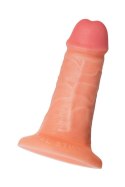 Realistic dildo Caliber 16/5 , PVC, flesh, length 16cm, diameter 5cm