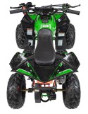 Mini Quad Spalinowy Pojazd RENEGADE HIPERFECT 110CC Zielony