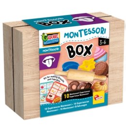 LISCIANI MONTESSORI BOX SMAK