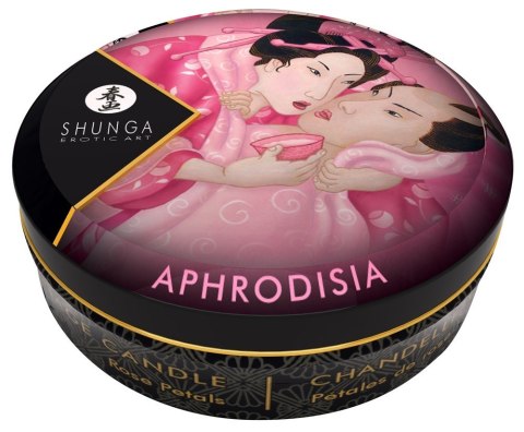 MINI MASSAGE CANDLE 14-3690 MINI MASSAGE CANDLE 14-3690